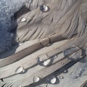 Meet your Posher, Maureen